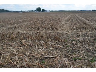 Property photo 55 - EHLE FARMS AUCTION - 118+/- ACRES IN 9 TRACTS IN ALLEN COUNTY, INDIANA